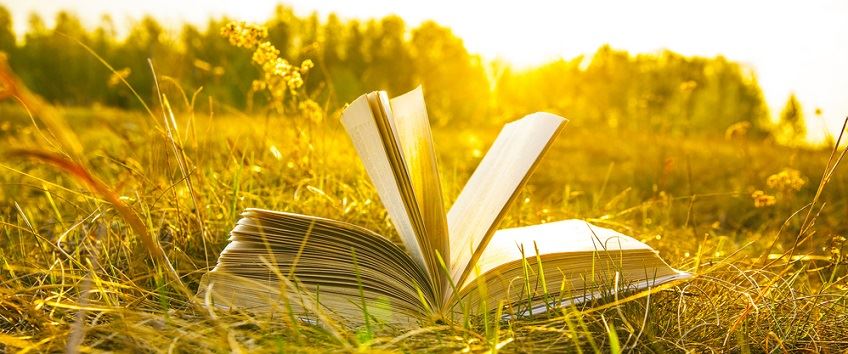 book in field